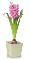  Donica ceramiczna 9cm-10h , Barcelona, 37.021.09, kolor kremowy - 2