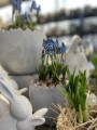  Donica ceramiczna 14cm-14h , Easter, 05.164.14, kolor szary (naturalny beton) - 2