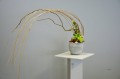  Donica ceramiczna 14cm-14h , Easter, 05.164.14, kolor szary (naturalny beton) - 3