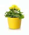  Donica ceramiczna 12cm-10h , Basic, 71.003.13, kolor żółty - 3