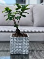  Donica z ceramiki nieszkliwionej 14cm-13h , Rustic, 05.160.14, kolor szary - 2
