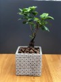  Donica z ceramiki nieszkliwionej 14cm-13h , Rustic, 05.160.14, kolor szary - 3