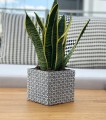  Donica z ceramiki nieszkliwionej 14cm-13h , Rustic, 05.160.14, kolor szary - 4