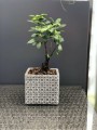  Donica z ceramiki nieszkliwionej 14cm-13h , Rustic, 05.160.14, kolor szary - 7