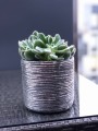  Donica ceramiczna 14cm-13h , Rustic, 05.193.14, kolor srebrny - 2
