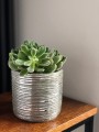  Donica ceramiczna 14cm-13h , Rustic, 05.193.14, kolor srebrny - 3