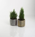  Donica ceramiczna 14cm-13h , Rustic, 05.193.14, kolor srebrny - 4
