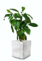  Donica z ceramiki nieszkliwionej 14cm-14h , Rustic, 44.006.14, kolor szary - 4