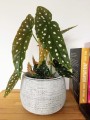  Donica z ceramiki nieszkliwionej 17cm-13h , Rustic, 44.007.17, kolor szary - 2