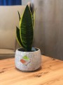  Donica z ceramiki nieszkliwionej 17cm-13h , Rustic, 44.007.17, kolor szary - 3