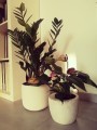  Donica z ceramiki nieszkliwionej 19cm-15h , Rustic, 48.014.19, kolor szary - 2