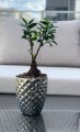  Donica ceramiczna 14cm-15h , Moon, 01.012.14, kolor srebrny (lustrzany) - 3