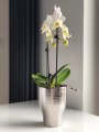  Donica ceramiczna 14cm-18h , Moon, 31.120.18, kolor srebrny - 2