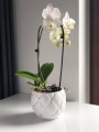  Donica ceramiczna 16cm-13h , Moon, 02.694.16, kolor biały - 2