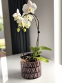  Donica ceramiczna 14cm-14h , Vintage, 09.124.14, kolor fioletowy & złoty - 2