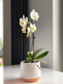  Donica ceramiczna 15cm-13h , Vintage, 05.183.15, kolor biały & brązowy - 4