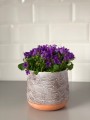  Donica ceramiczna 15cm-13h , Vintage, 05.184.15, kolor szary & brązowy - 5