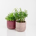  Donica ceramiczna 14cm-13h , Vintage, 05.279.14, kolor ciemny różowy - 3