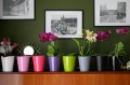  Donica ceramiczna 13cm-15h , Basic, 71.032.13, kolor szary - 2