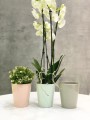  Donica ceramiczna 13cm-15h , Basic, 71.057.13, kolor miętowy - 2