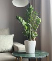  Donica ceramiczna 13cm-14h , Basic, 43.024.13, kolor biały - 2