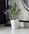  Donica ceramiczna 13cm-14h , Basic, 43.024.13, kolor biały - 3