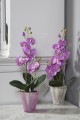  Donica szklana 9cm / 12h , Basic, 50.029.09, kolor fioletowy - 2