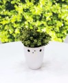  Donica ceramiczna 14cm-16h , Basic, 70.029.14, kolor biały - 2