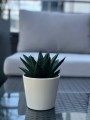  Donica ceramiczna 12cm-10h , Basic, 71.001.13, kolor biały - 5