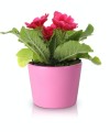  Donica ceramiczna 12cm-10h , Basic, 71.004.13, kolor jasny fioletowy - 3