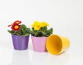 Donica ceramiczna 12cm-10h , Basic, 71.005.13, kolor ciemny fioletowy - 2