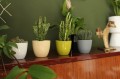  Donica ceramiczna 7cm-6h , Basic, 71.021.07, kolor biały - 4