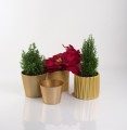  Donica ceramiczna 12cm-10h , Basic, 71.030.13, kolor złoty - 2