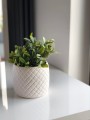  Donica ceramiczna 15cm-12h , Barcelona, 05.172.15, kolor biały - 3