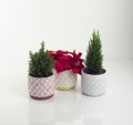  Donica ceramiczna 14cm-13h , Christmas, 05.255.14, kolor czerwony - 2