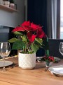  Donica ceramiczna 14cm-13h , Christmas, 05.249.14, kolor srebrny - 2