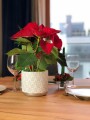  Donica ceramiczna 14cm-13h , Christmas, 05.249.14, kolor srebrny - 3