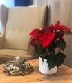  Donica ceramiczna 14cm-13h , Christmas, 05.249.14, kolor srebrny - 4