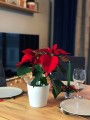  Donica ceramiczna 14cm-13h , Christmas, 71.062.14, kolor biały, srebrny  - 2