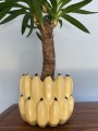   Bananero    osłonka doniczkowa  , Domowe ogrody, 904.013.20, kolor jasny żółty - 4