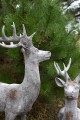   Rangifer   Capi  , Dekoracje, 940.029.57, kolor jasny szary z rudymi przebarwieniami - 4