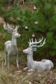   Rangifer   Loui     figurka dekoracyjna  , Dekoracje, 940.030.75, kolor jasny szary z rudymi przebarwieniami - 3
