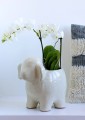   Oveja bianco     baranek dekoracyjny   30x20cm-27h , Dekoracje, 936.001.30, kolor kremowo-biały - 2