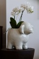   Oveja bianco     baranek dekoracyjny   30x20cm-27h , Dekoracje, 936.001.30, kolor kremowo-biały - 3