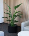  Donica z włókna szklanego 45cm-30h , Fiberglass, 95.047.45, kolor czarny - 2