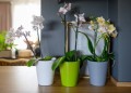  Donica ceramiczna 13cm-15h , Basic, 71.015.13, kolor biały - 3