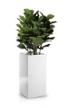  Donica z włókna szklanego , Fiberglass, 95.003.50 WP, kolor biały - 4
