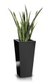  Donica z włókna szklanego , Fiberglass, 95.008.95 WP, kolor czarny - 5