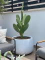  Donica z włókna szklanego , Fiberglass, 95.013.34, kolor biały - 1