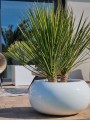  Donica z włókna szklanego , Fiberglass, 95.028.47, kolor biały - 6